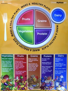 food pyramid for kids